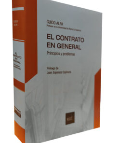 El contrato en general. Principios y problemas