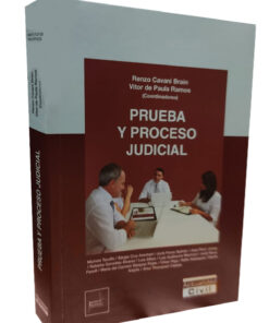 Prueba y proceso judicial