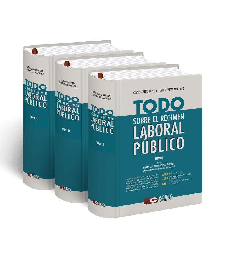 Todo sobre régimen laboral público Todo sobre régimen laboral público