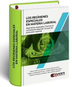Los Regímenes Especiales en Materia Laboral