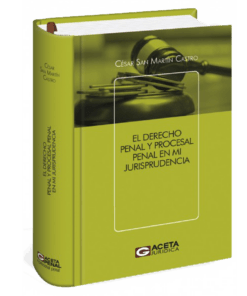 El derecho penal y procesal penal en mi jurisprudencia