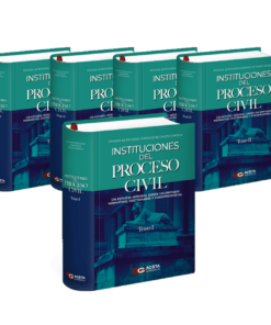 Instituciones del proceso civil