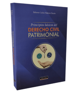 Principios básicos del derecho civil patrimonial