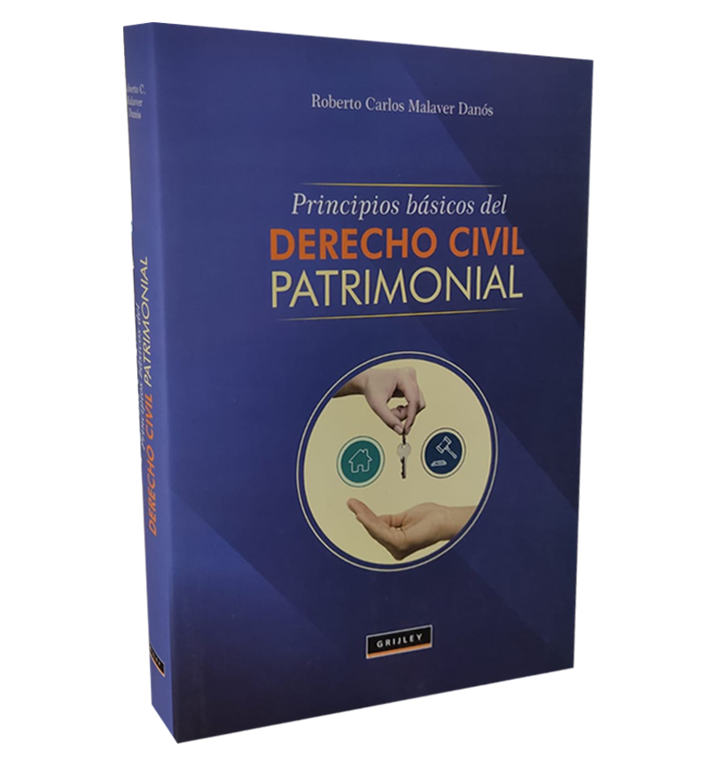 Principios básicos del derecho civil patrimonial Principios básicos del derecho civil patrimonial