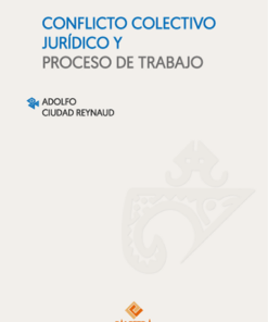 Conflicto y colectivo jurídica y proceso de trabajo