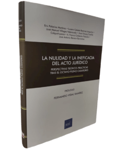 La nulidad y la ineficacia del acto jurídico