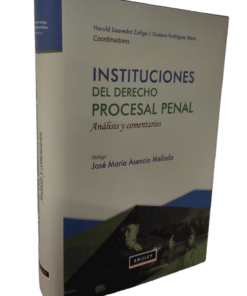 Instituciones del derecho procesal penal