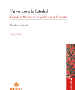 Un vistazo a la catedral cuando el derecho se encuentra con la economía