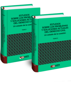 Estudios sobre los problemas y soluciones actuales del derecho civil