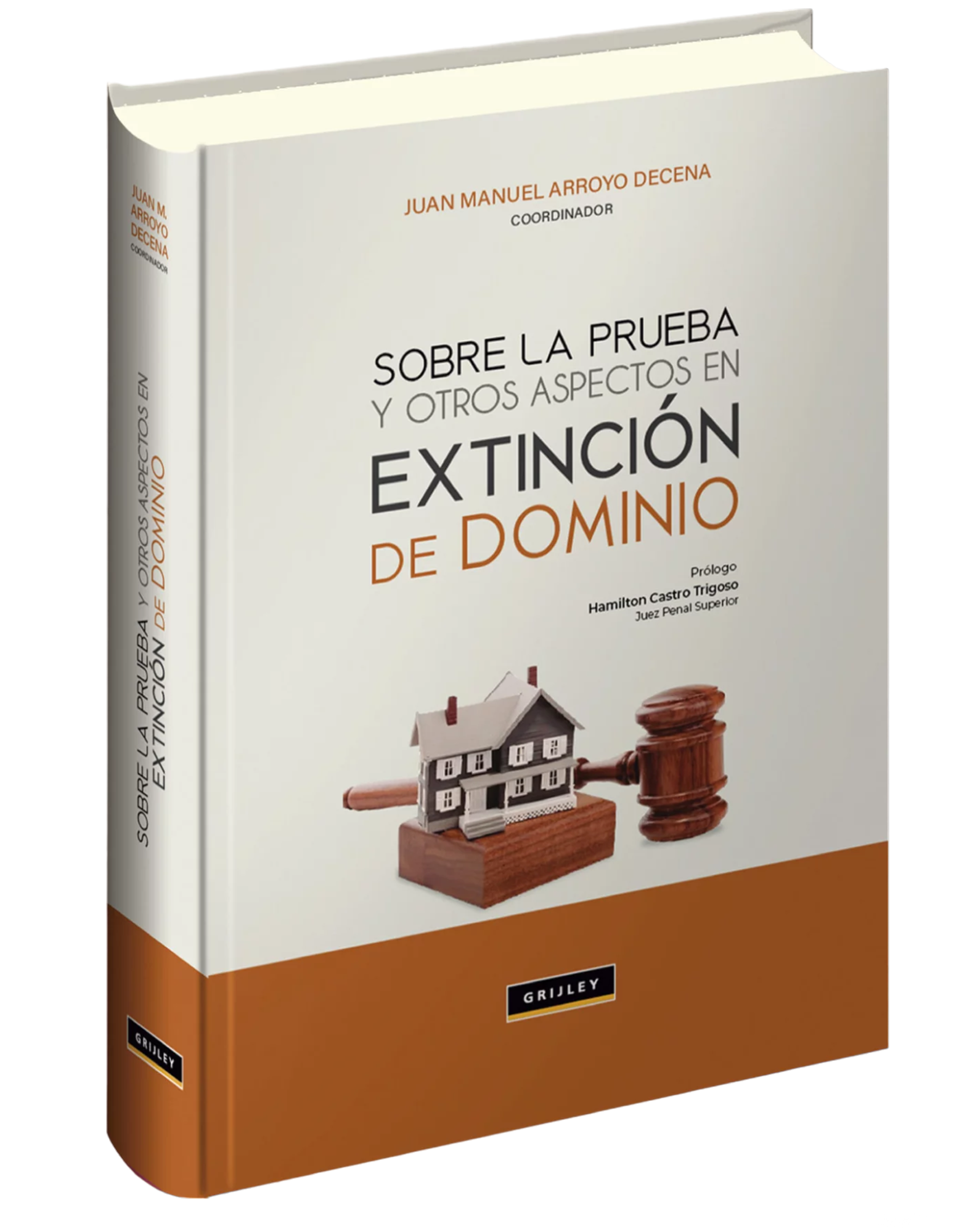 Sobre la prueba y otros aspectos en textinción de dominio