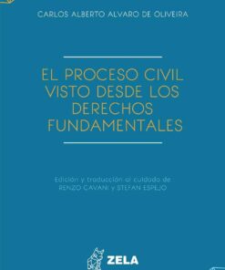El proceso civil desde los derechos fundamentales
