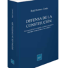 Defensa de la constitución - Raúl Ferrero Costa