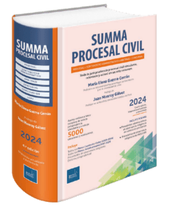 Summa Procesal civil 2024