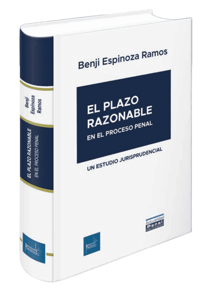El plazo razonable- Benji